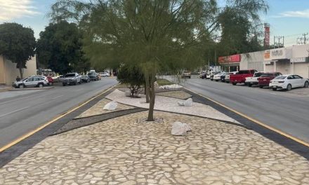Crearán camellones bellos y ecológicos en Torreón