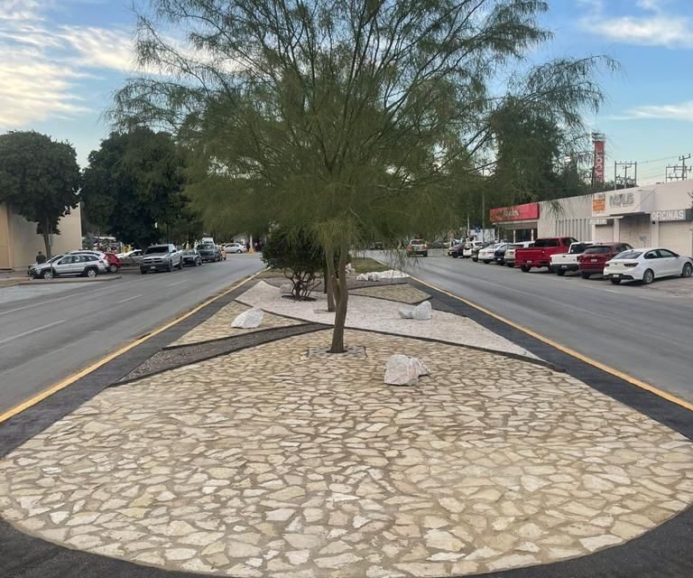 Crearán camellones bellos y ecológicos en Torreón