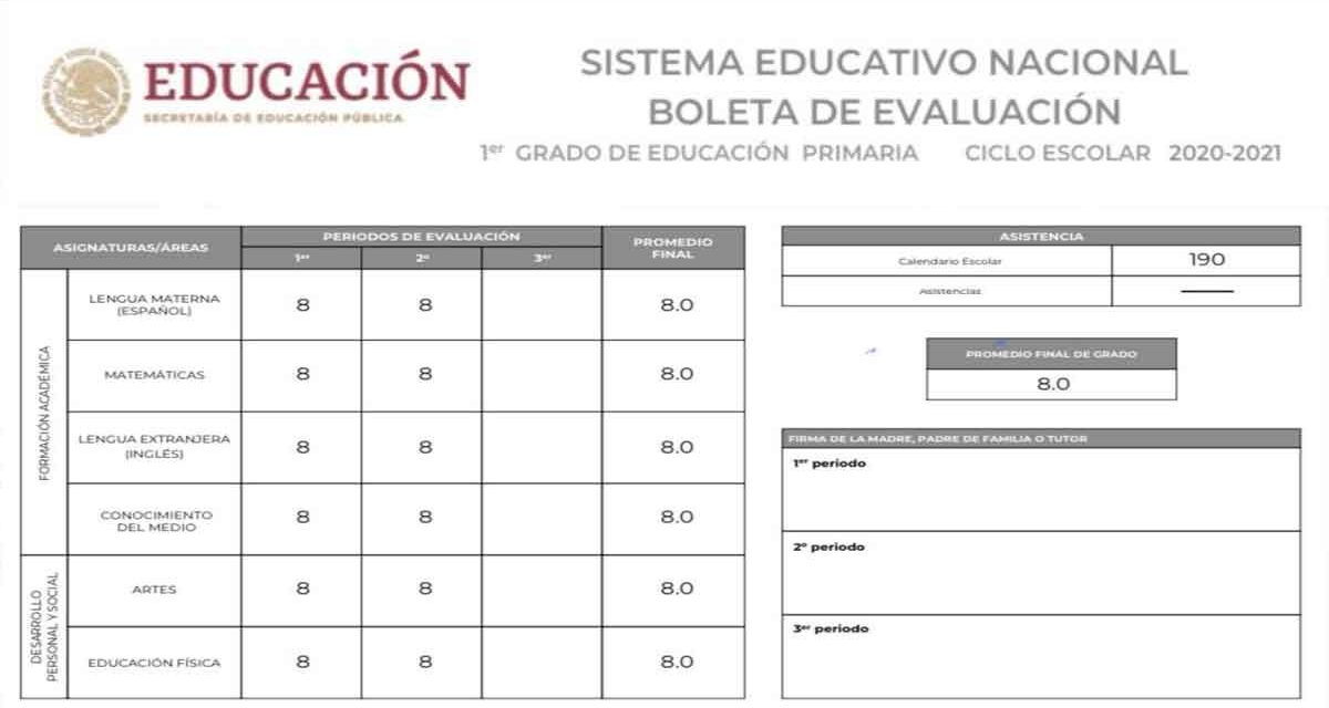 Ya puedes descargar la calificaciones de nivel básico ¡Te decimos cómo!