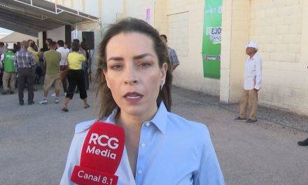 Verónica Martínez trabaja para evitar desbandada en el PRI