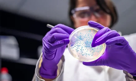 Científicos de China descubren cientos de bacterias desconocidas en glaciares que se derriten en Tíbet