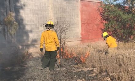 Saltillo: Se incendia baldío en V. Carranza