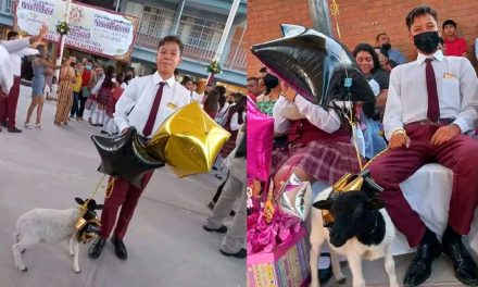 Coahuila: Recibe borrego como regalo de graduación y lo presume, aplauden redes su humildad