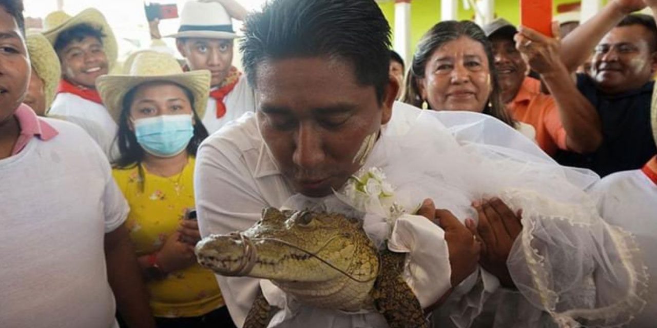 Un alcalde de Oaxaca se casó  con un caimán (video)