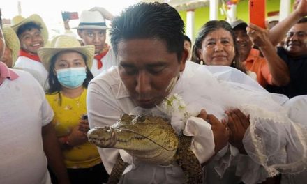Un alcalde de Oaxaca se casó  con un caimán (video)