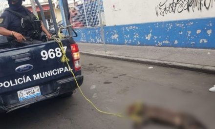 Policías de Celaya y Apaseo matan perros; acusan en redes que es por diversión