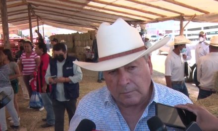 Pide Chema Fraustro reincorporar el Subsidio para la Seguridad en los Municipios
