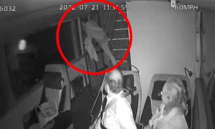 ‘¡En el camión no hay nadie!’: hombre con alucinaciones se lanza de autobús y muere en San Luis Potosí (video)
