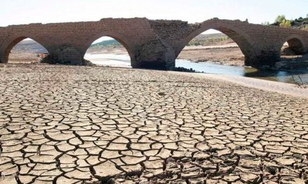 Italia decreta estado de emergencia por intensa sequía