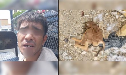 Denuncian a descuartizador de perros en Saltillo; habría partido a can a la mitad