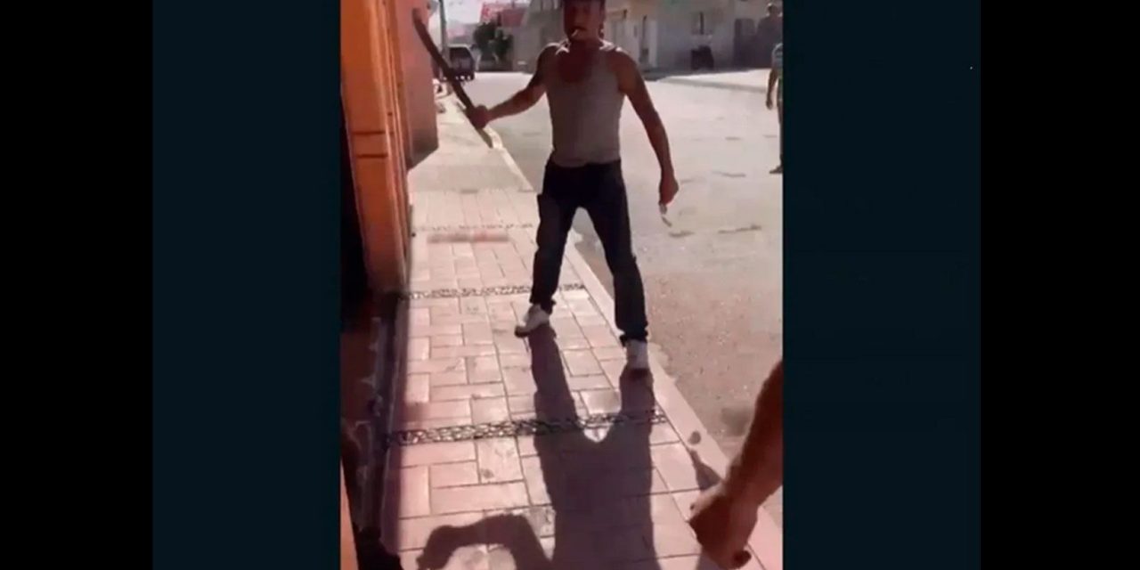 Imágenes fuertes: Sujeto hiere a machetazos a perrita en Hidalgo (video)