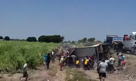 Rapiñan carne de cerdo tras volcadura de trailer en vialidad de Tamaulipas (video)