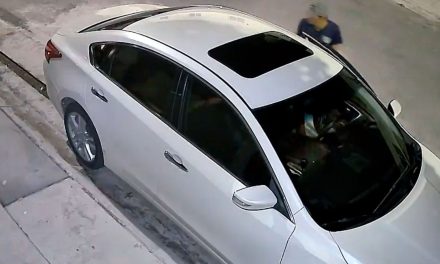 Reportan ola de robos en el fraccionamiento Puerta del Rey de Saltillo (video)