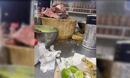 ‘Pintamos toda la casa…¿qué es eso?’; exhiben una presunta cabeza de perro en una taquería de la CDMX