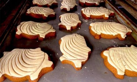 ¿Ya conoces las ‘puerconchas’? El pan que está dando de qué hablar en Durango