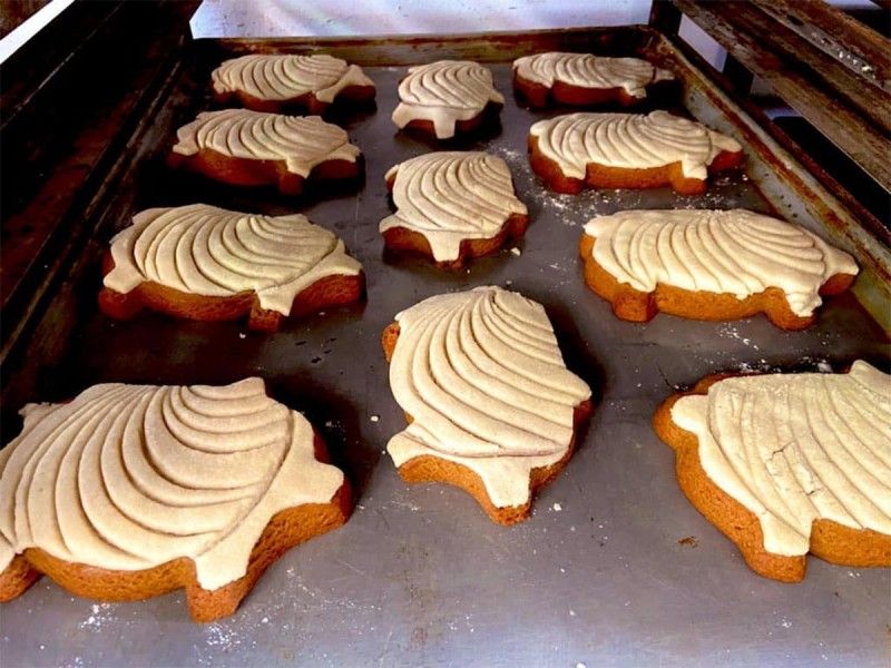 ¿Ya conoces las ‘puerconchas’? El pan que está dando de qué hablar en Durango