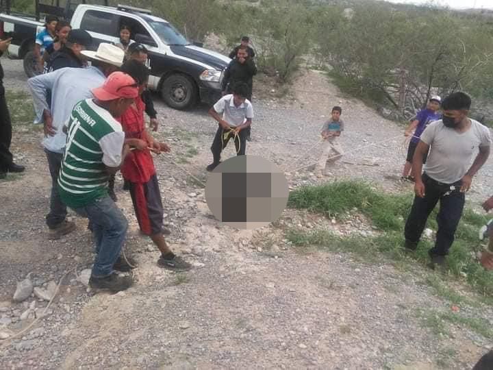 PROPAEC denuncia muerte de osezno