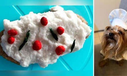 Conoce los ‘chiles en dogada’ y por qué los lomitos los adoran (video)