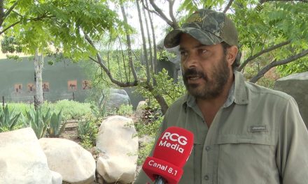 Necesarios cruces de fauna en tramos carreteros en Coahuila