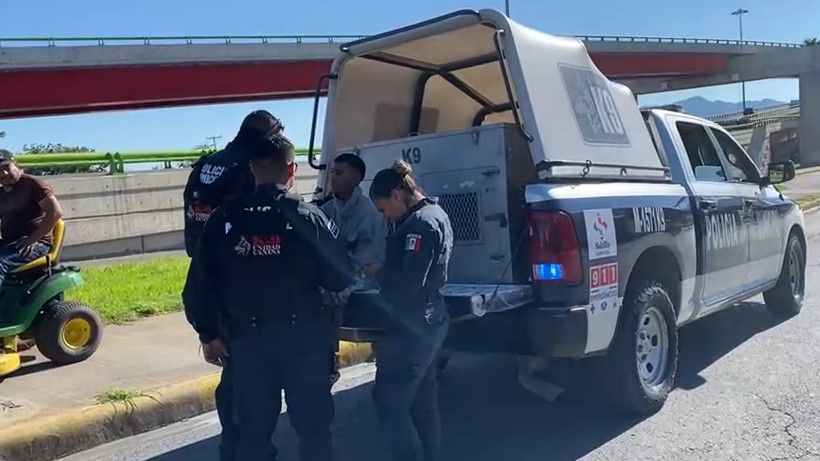 Saltillo: Reportan persona sin vida en El Sarape; era un hombre dormido