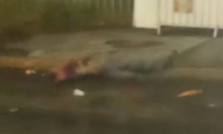 ‘El Mamas’ termina sin vida tras intentar un asalto en la CDMX; conductor propina embestida mortal