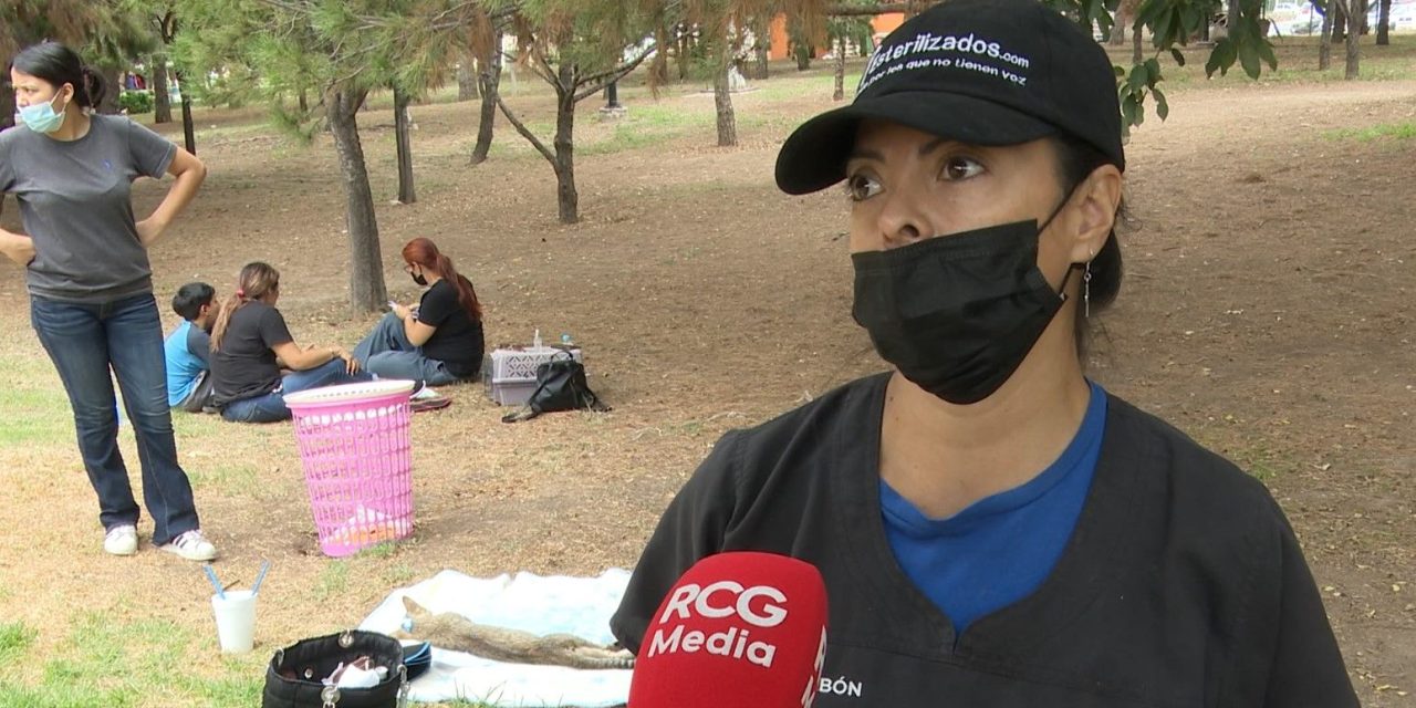 Realizan campaña de esterilización en Saltillo