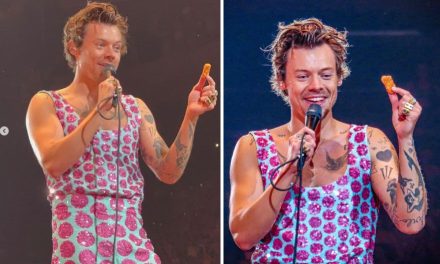 Esta vez no fue un peluche: lanzan nugget de pollo a Harry Styles en concierto (video)