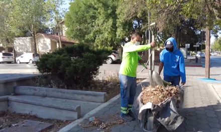 Saltillo: Labores de limpieza y embellecimiento son permanentes