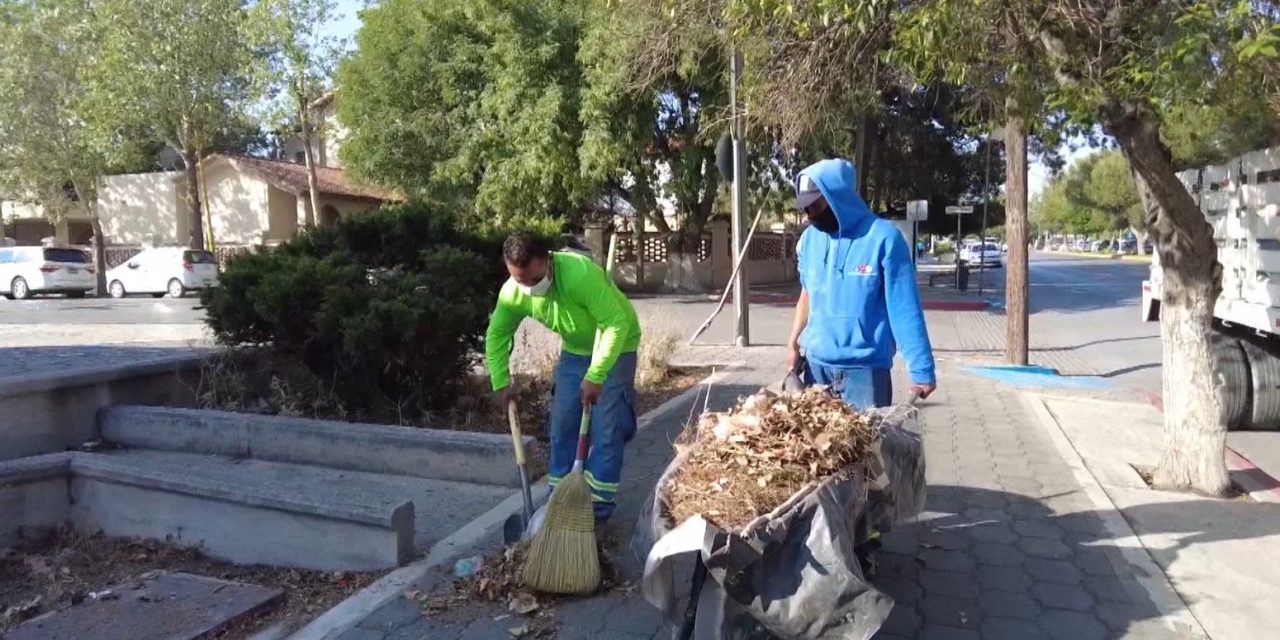 Incansable labor de limpieza en espacios públicos de Saltillo