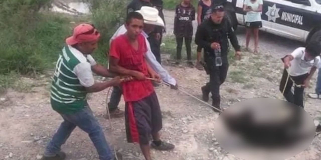 Por muerte de osezno, otorgarían hasta 6 años de prisión