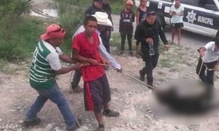 Por muerte de osezno, otorgarían hasta 6 años de prisión
