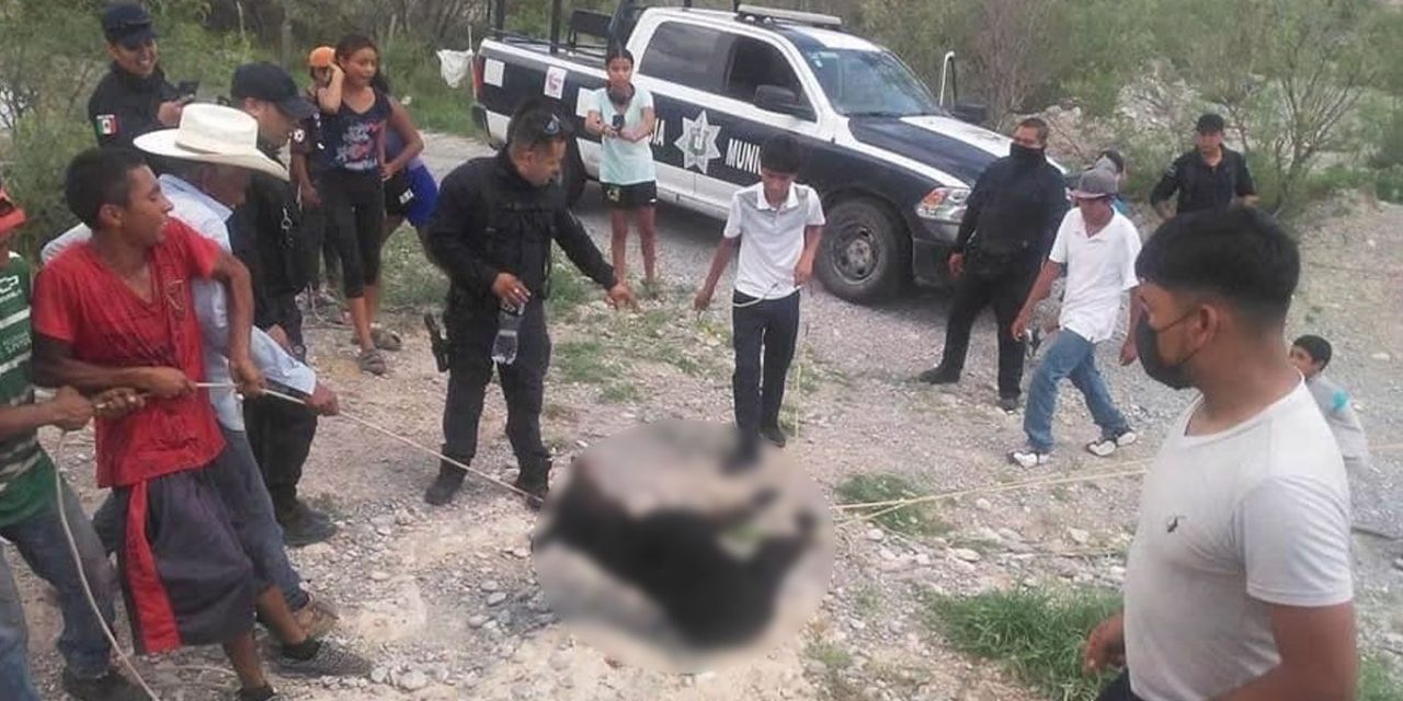Inadaptados: Habitantes de Castaños, Coahuila, matan a oso frente a autoridades (video)