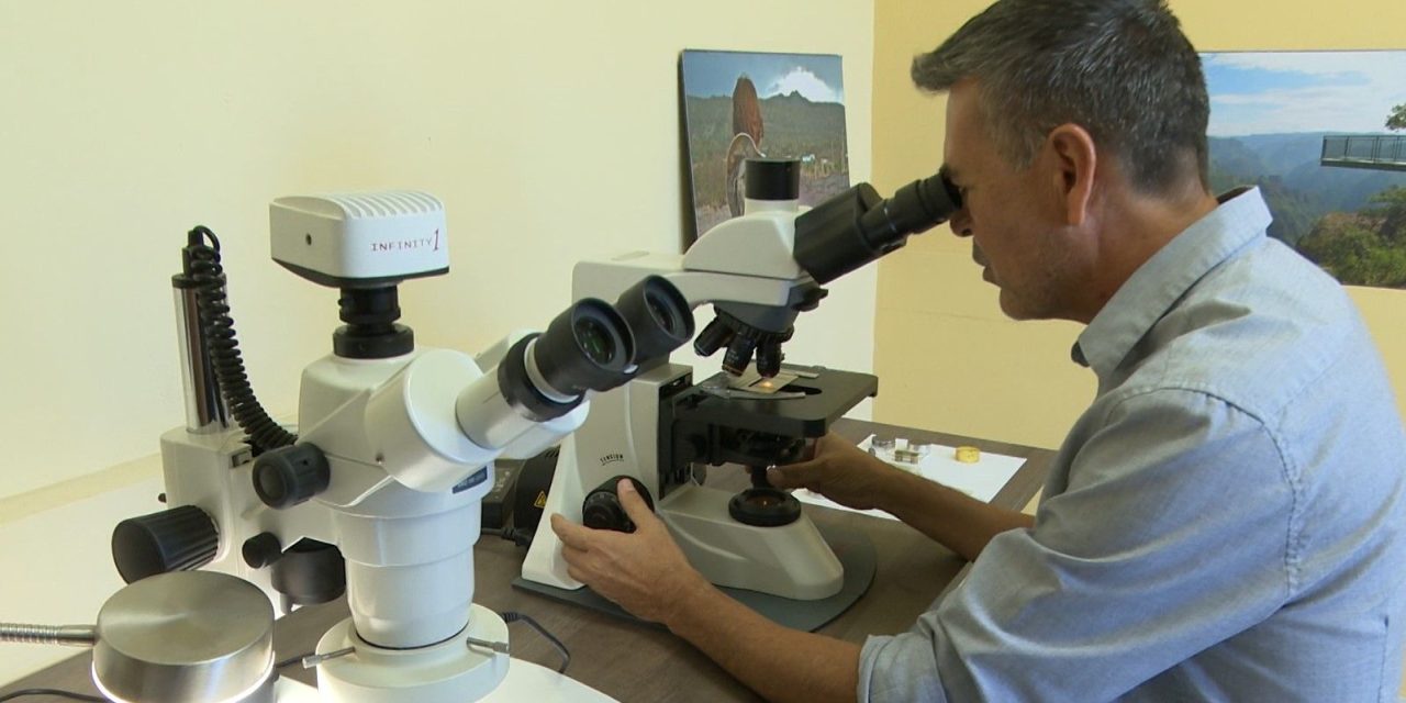 Tiene Saltillo Licenciatura en Paleontología