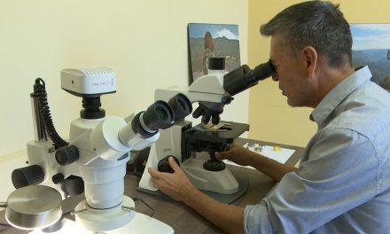 Tiene Saltillo Licenciatura en Paleontología
