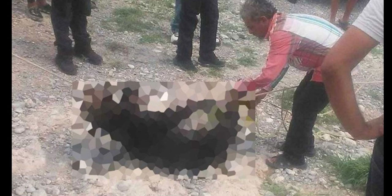 Coahuila: Todo el peso de la ley a responsables de torturar y matar a un osito (video)