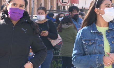 Tras seis meses Federación entrega recurso a albergues de mujeres violentadas