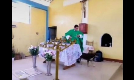 Evidencian a sacerdote por patear a un perro durante la misa (video)