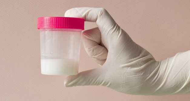 Maestra le pide a sus alumnos de tarea… ¡muestras de semen!