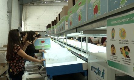 Todo listo para celebrar Festival de la Manzana en Arteaga