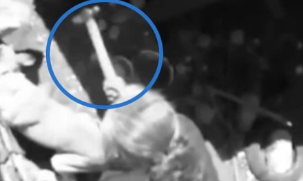 Terrible: Abuelita mata a un perrito a martillazos en Querétaro (video)