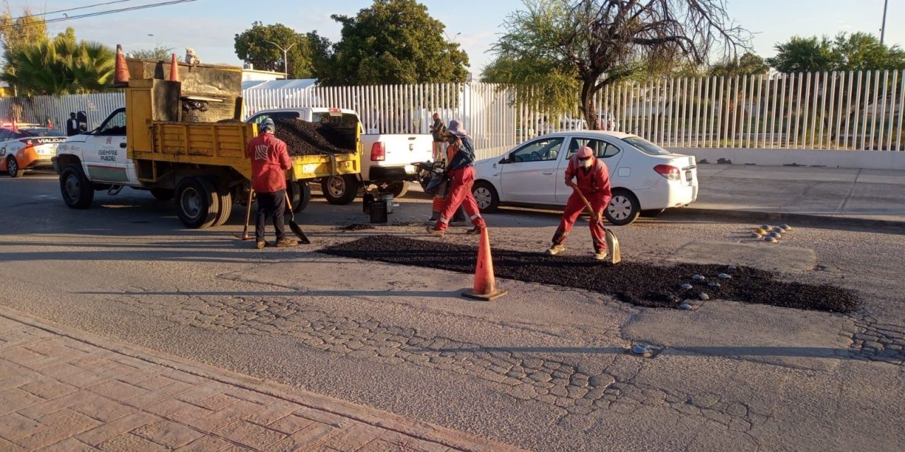 Intensifican acciones de bacheo en Torreón
