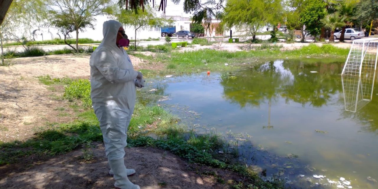 Realizan acciones de fumigación en colonias de Torreón