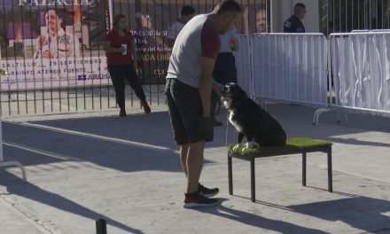 Se efectuó adiestramiento canino gratuito en Saltillo