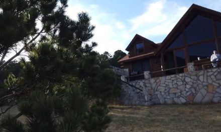 Detectan en Arteaga más de 100 desarrollos irregulares en serranía de Arteaga