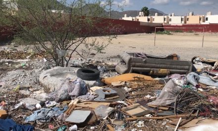 Se quejan de basurero clandestino en colonia de Saltillo