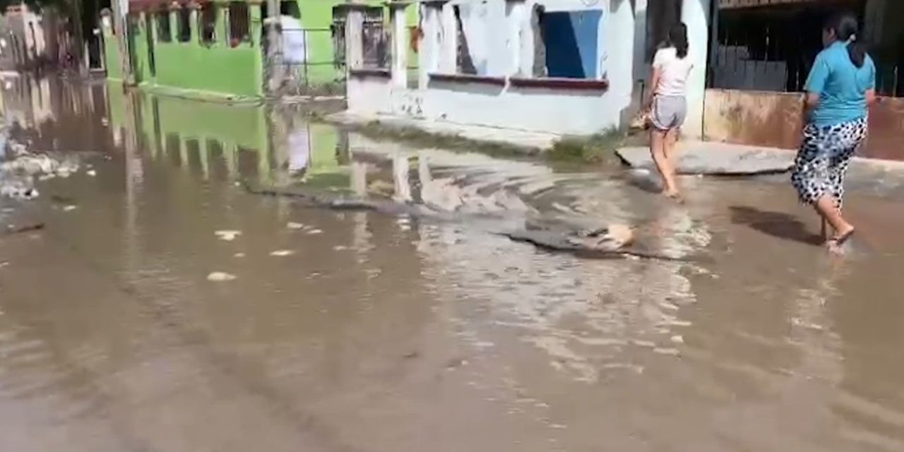 Forman censos de daños en Muzquiz; 650 viviendas tienen daños estructurales