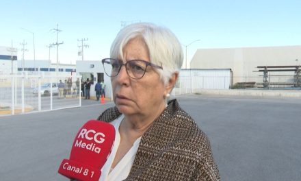Coahuila: Se han registrado 15 osos atropellados y muertos en 2022