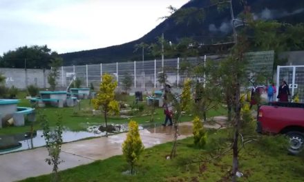 Comando armado ingresa a escuela y asalta a estudiantes y profesores en Puebla