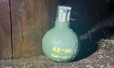 Secretaría de Marina desactiva dos granadas en Manzanillo, Colima