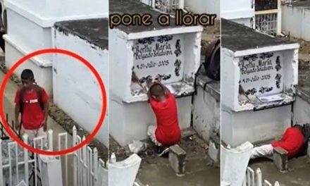 El estremecedor video de un niño que visita la tumba de su mamá, le enseña su tarea y duerme junto a ella